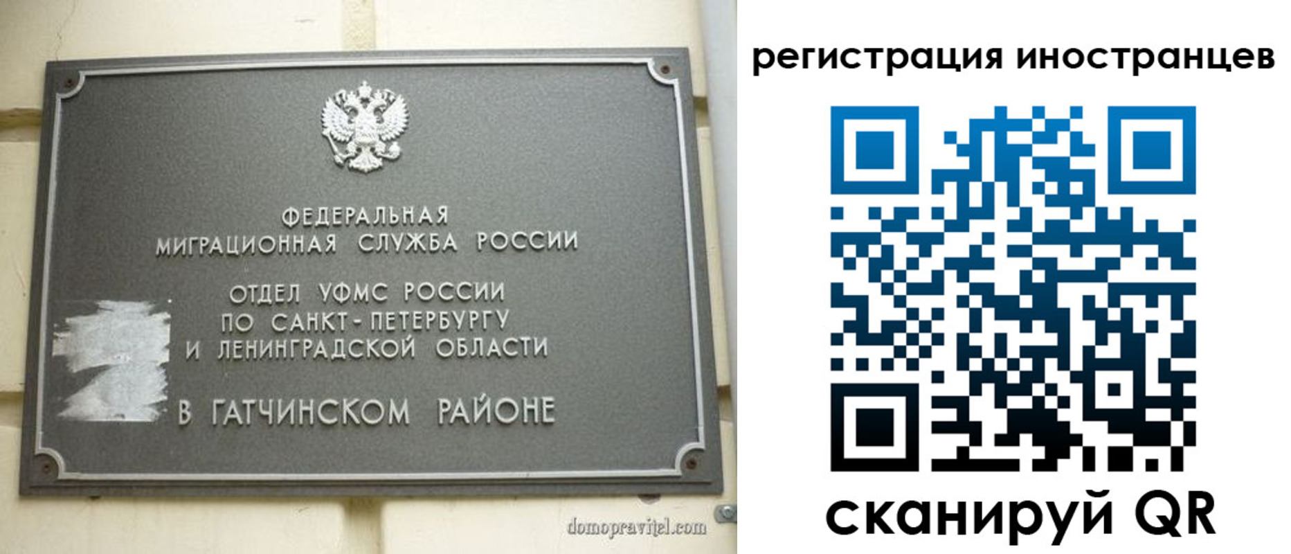 временная регистрация поиск в Свободном